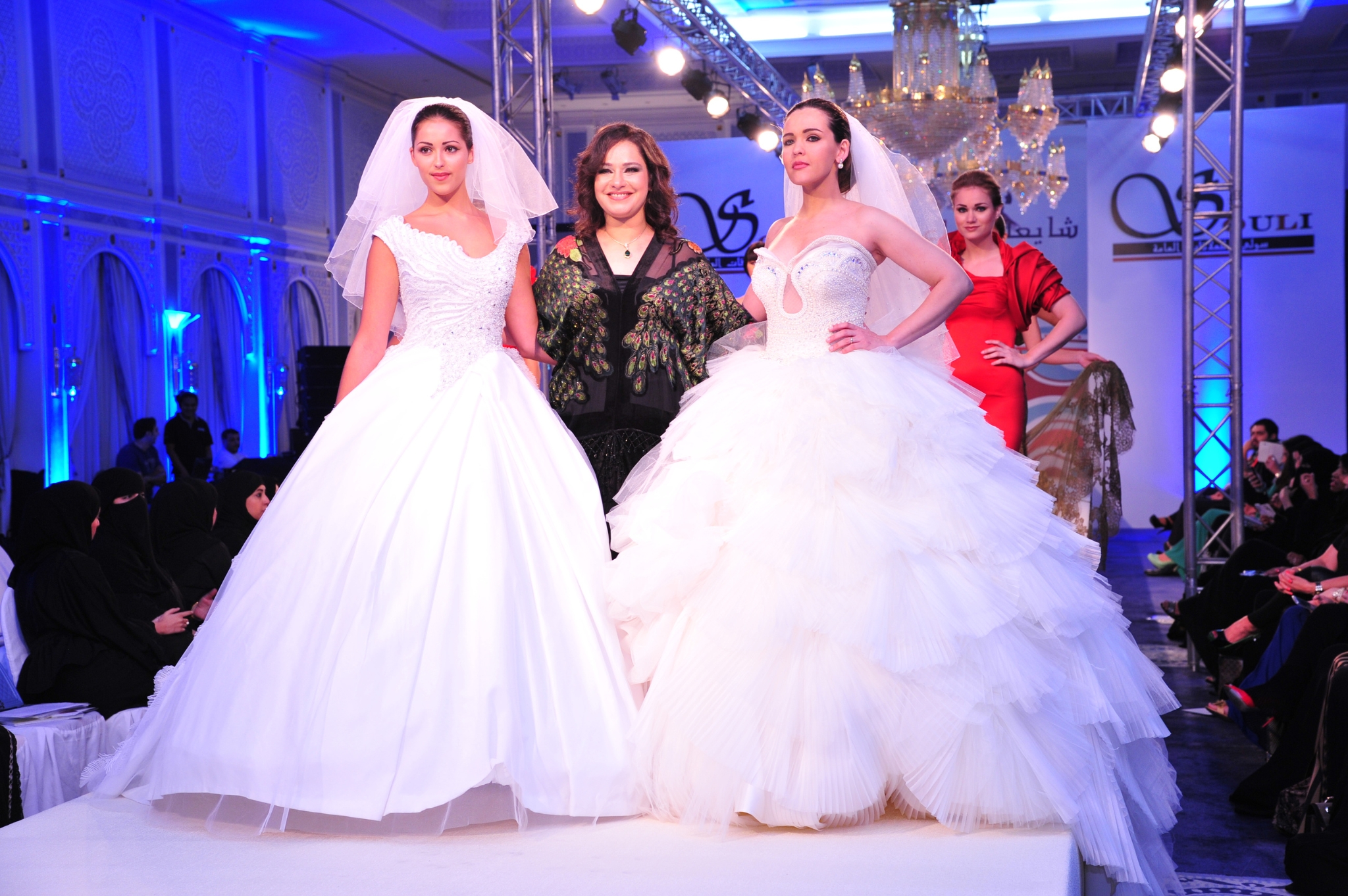 Wind-sculpted desert sand dunes.