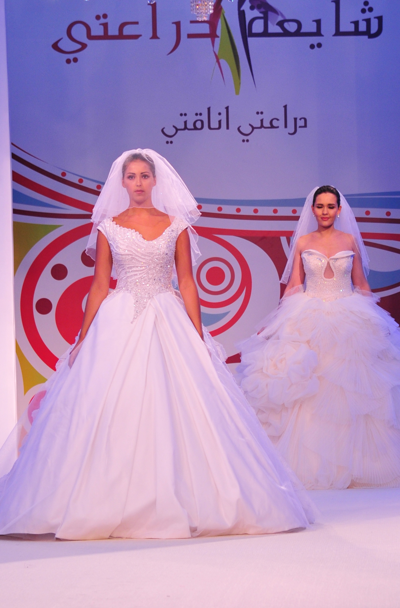 Wind-sculpted desert sand dunes.